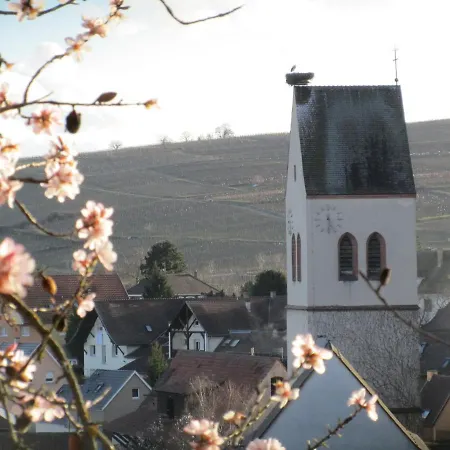 Maison De Tante Louise * 미터위어