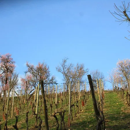 Maison De Tante Louise *